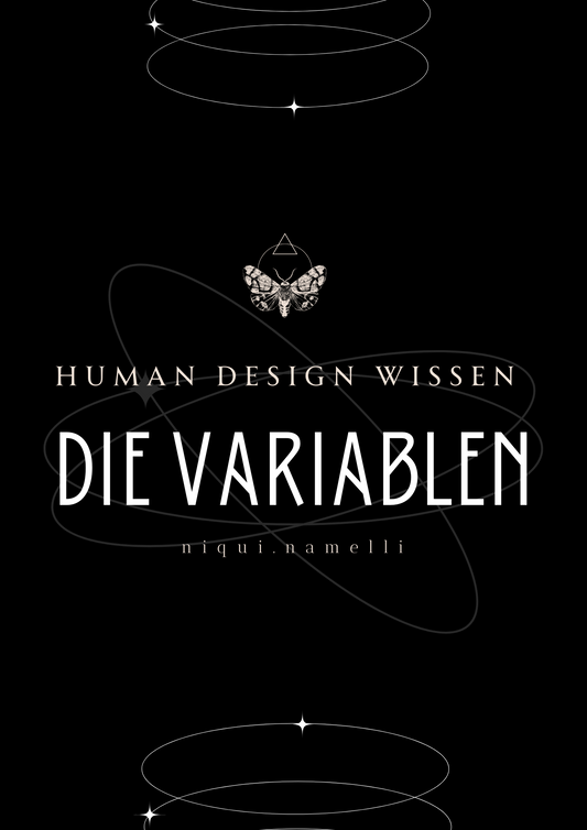 HD Wissen Buch - Variablen